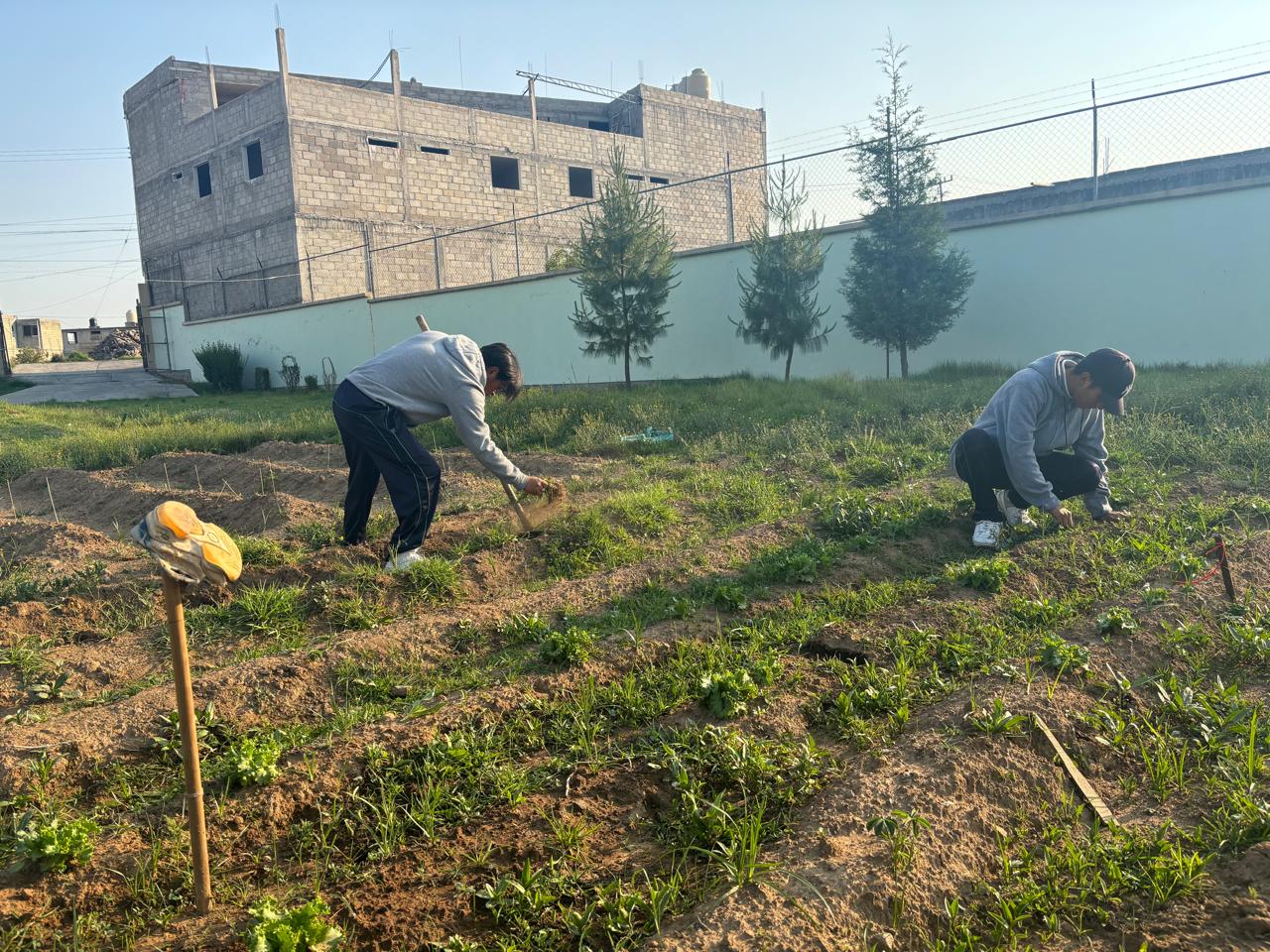 Esta es una descripcion alternativa de la imagen para cuando no se pueda mostrar